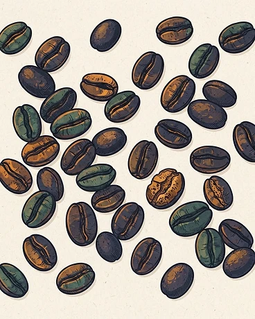 San Antonio Huista - Guatemala Specialty Coffee WS (USDA Organic)