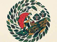 Mountain Harvest — coffee farmer illustration 3