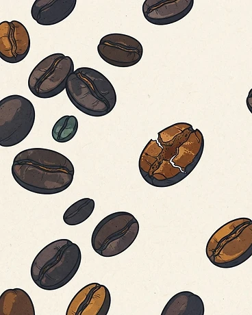 Archive: Honduras Yojoa SL28