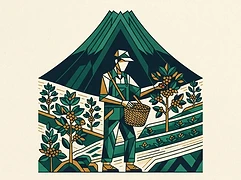Yesica Moreno — coffee farmer illustration 3