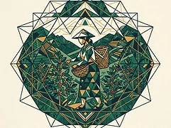 Lizeth Samboni — coffee farmer illustration 2