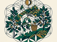 Toldopamba — coffee farmer illustration 2
