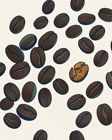 Nueva Llusta - Microlot