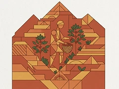 Tamiru Tadesse Tesema — coffee farmer illustration 1