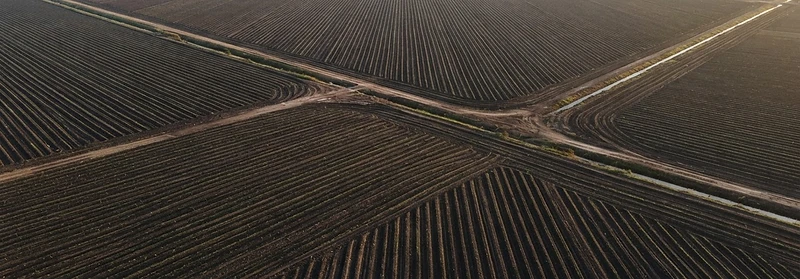 Aerial view of planted agricultural rows in dark Texas soil at golden light