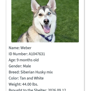 Weber