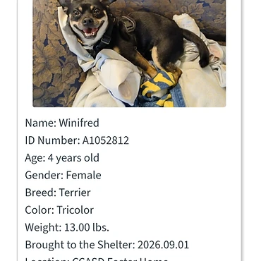 Winifred