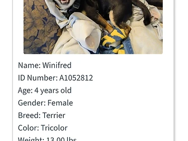 Winifred
