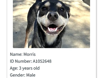 Photo of Morris