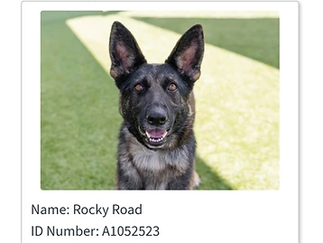 Photo of Rocky Road