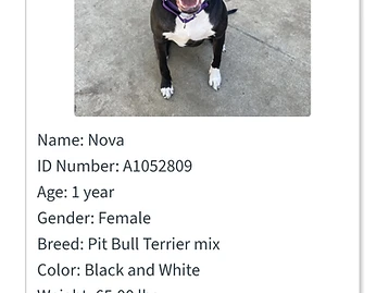 Photo of Nova