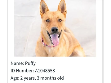 Photo of Puffy