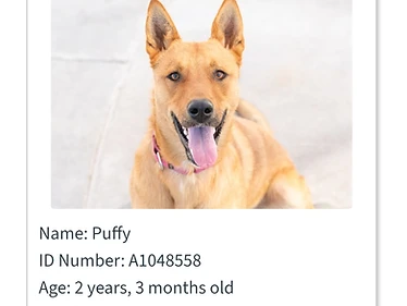 Puffy