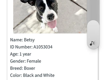 Photo of Betsy