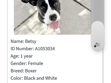 Betsy