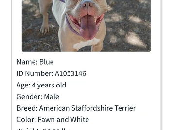 Photo of Blue