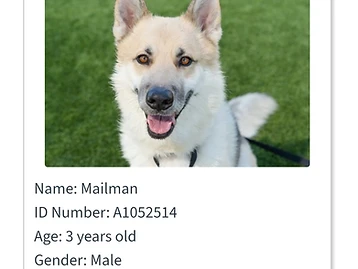 Photo of Mailman