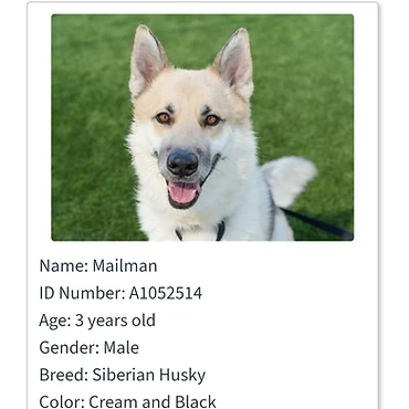 Mailman