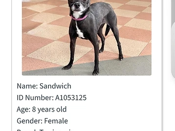 Photo of Sandwich