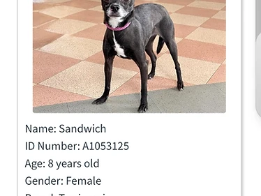 Sandwich