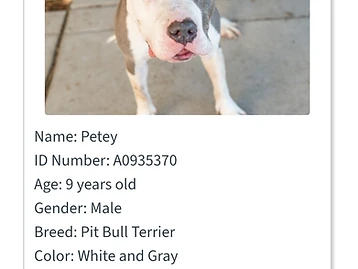 Photo of Petey