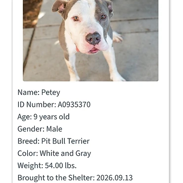 Petey