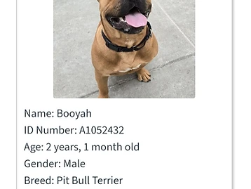 Photo of Booyah