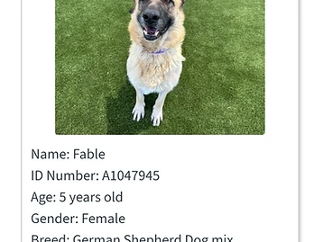 Photo of Fable