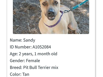 Photo of Sandy