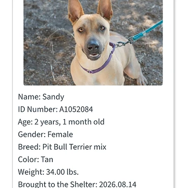 Sandy