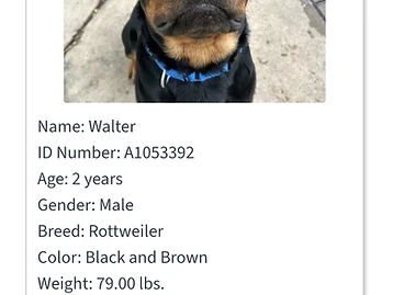 Photo of Walter