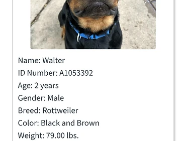 Walter