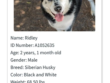 Ridley