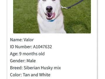 Photo of Valor