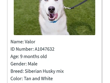 Valor