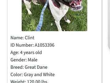 Photo of Clint