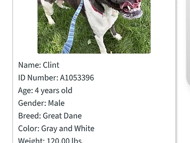 Clint