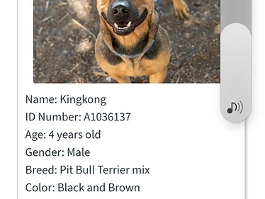 Kingkong