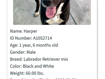 Photo of Harper