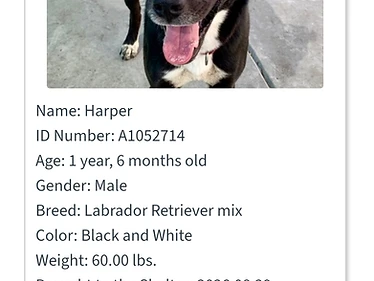 Harper