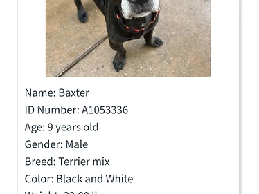 Baxter