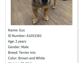 Photo of Gus