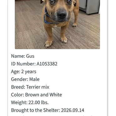 Gus