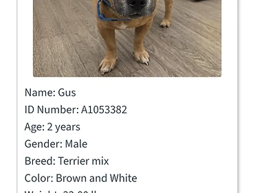 Gus