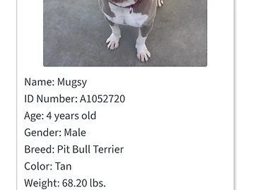Photo of Mugsy