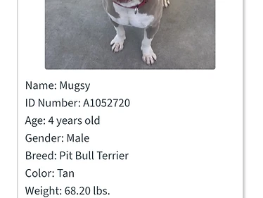 Mugsy