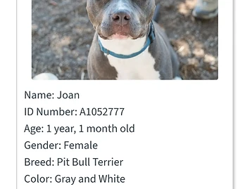 Photo of Joan