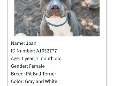Joan