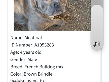 Meatloaf