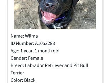 Photo of Wilma